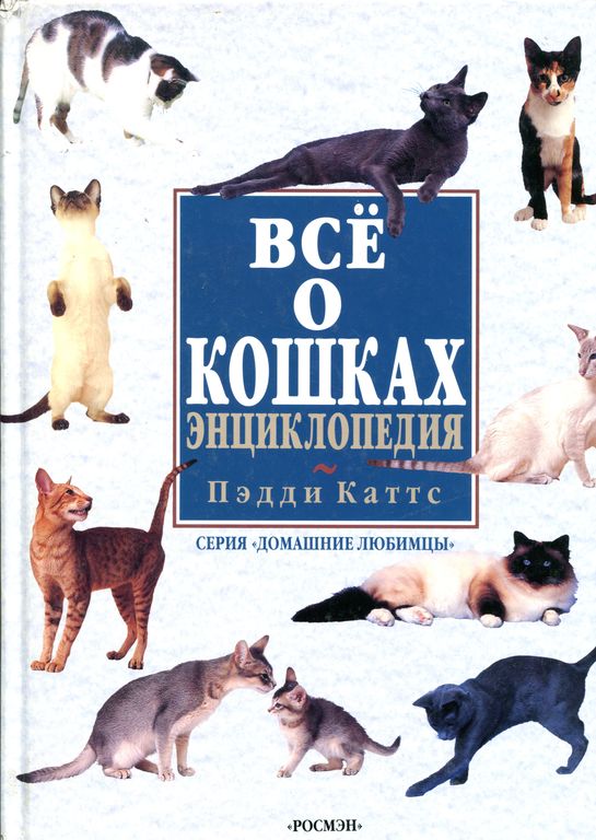 Всё о кошках