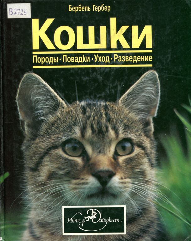 Кошки