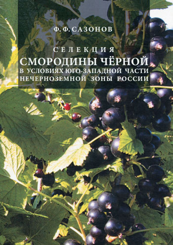 Селекция смородины черной в условиях юго-западной части Нечерноземной зоны России