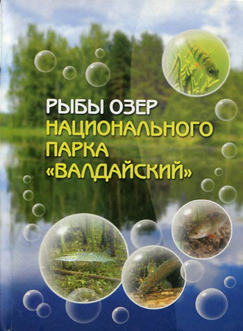 Рыбы озёр национального парка «Валдайский»