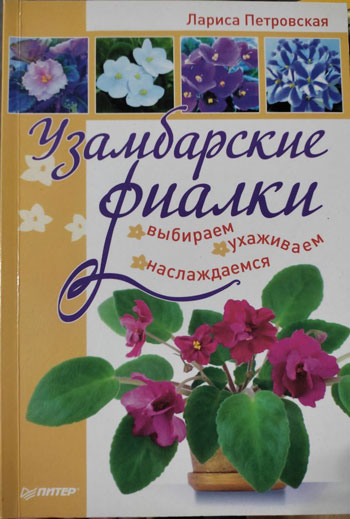 Узамбарские фиалки. Выбираем, ухаживаем, наслаждаемся