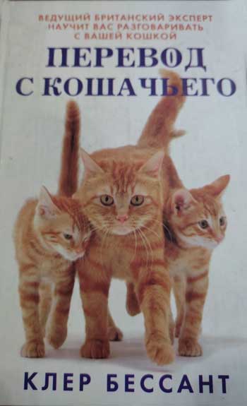 Перевод с кошачьего: научитесь разговаривать со своей кошкой