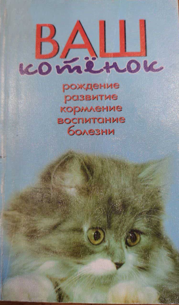 Ваш котёнок