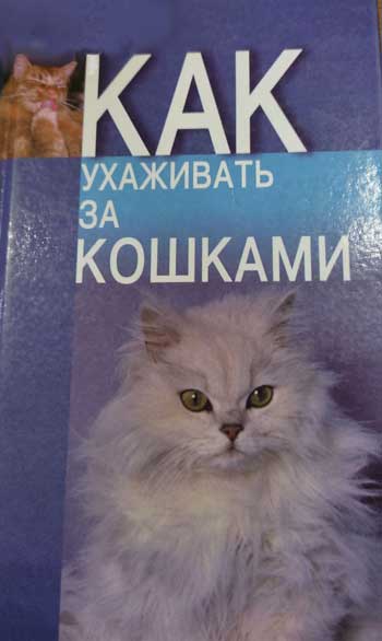 Как ухаживать за кошками: Практические советы специалисту по уходу за домашними кошками