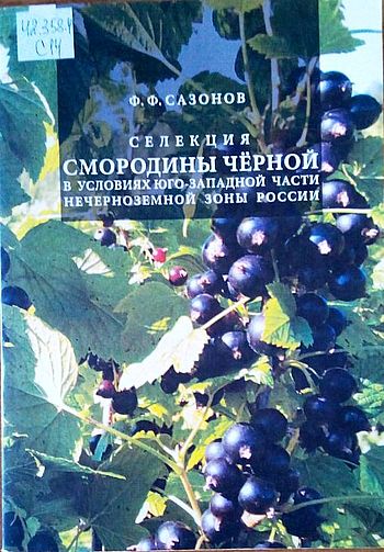 Селекция смородины чёрной в условиях юго-западной части Нечерноземной части России 