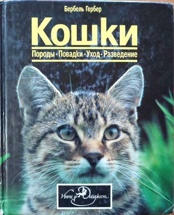 Кошки 