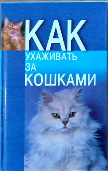 Как ухаживать за кошками